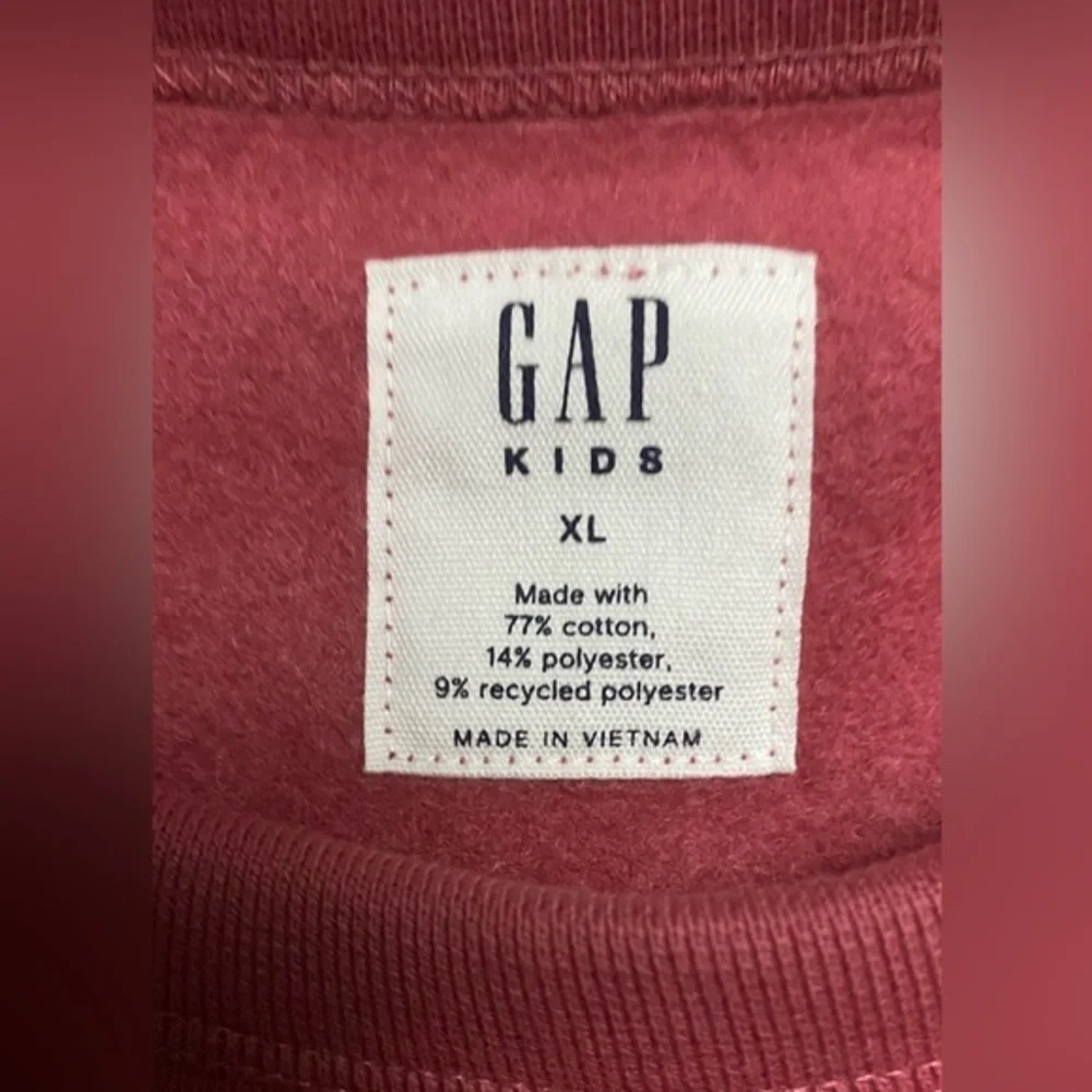 Gap Kids Skateboard Sweatshirt Pullover XL (12-13)